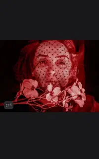 ۲ عدد بلیط نمایش خون بس