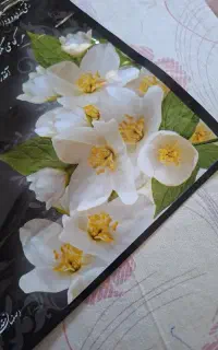 ظرف پگ مراسم ترحیم