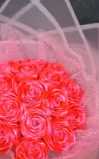 کادویی