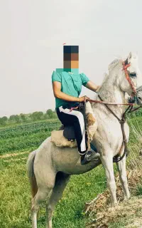 فروشی
