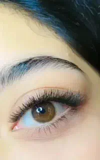 لیفت و لمینت