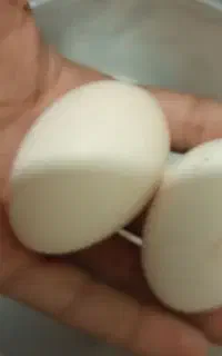 تخم نطفه دار گلین فول