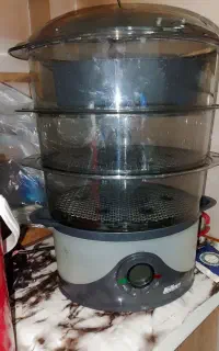 بخار پز