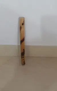 فلوت سالم