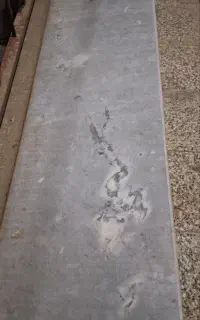 سنگ اوپن