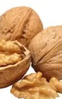 گردو (فریدون شهر)