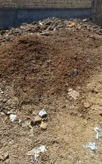 کود