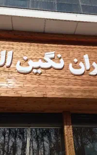 نیرو صندوقدار‌حرفه ای