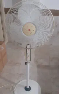 پنکه