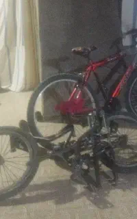 دوچرخه 20
