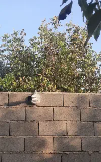 نصب و راه‌اندازی تخصصی دوربین مداربسته و دزدگیر
