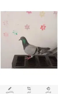ساعت لمسی کفتر