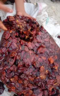 خریدار خرما خاصه،باچینی وضایعات خرما