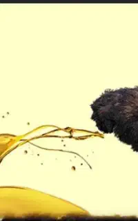 روغن شتر مرغ