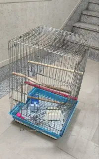 فروش قفس فلزی پرنده با لانه، آبخوری و دانخوری