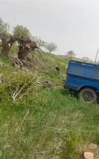 خریدانواع چوب