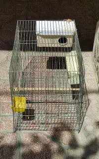 قفس پرنده