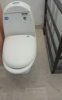 توالت فرنگی