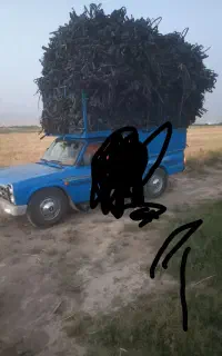 نوارتیپ نوارقطره ی