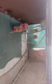 قفس بزرگ