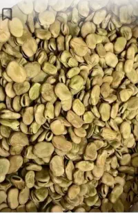باقلا