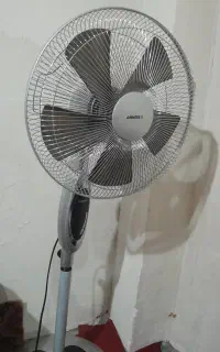 پنکه ایستاده