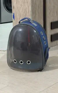 کیف سگ