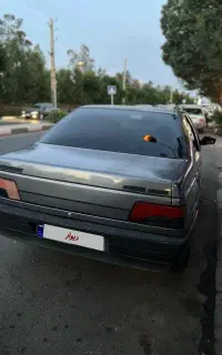 405دلفینی