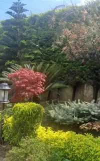 اجرا و طراحی پروژه فضای سبز ومحوطه سازی ویلاوباغ