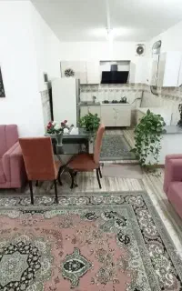 نظافت ویلا و آشپزی