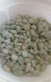 پاک کردن باقلا سبزی نخود فرنگی و....