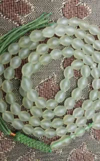 تسبیح ۱۰۱شاه مقصود خوش رنگ و کارکرده