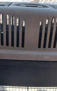 جعبه باکس حیوانات