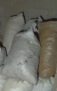 زغال
