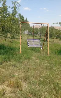 تاب
