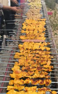 فراغت در تنها تفرجگاه جنگلی استان یزد