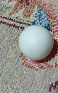 سنگ آسیاب اصلی