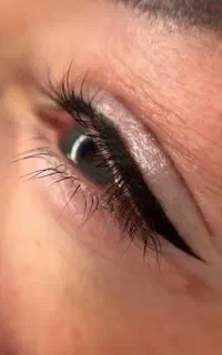 فیبروز کاره حرفه از
