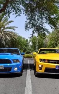 معاوضه دامنه با ماشین منطقه آزاد