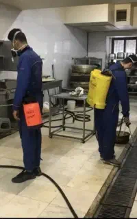 سمپاشی(جنوب)سم پاشی/ساس سوسک موریانه کل شهر