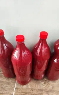 رب خانگی