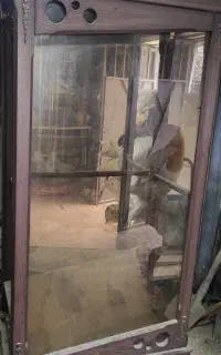بوفه ام دی اف سالم