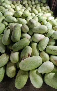 هندوانه
