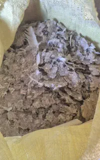 فروش کود کفتر