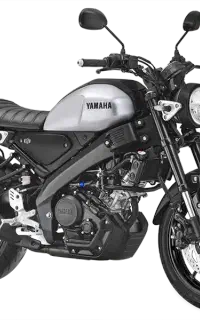 yamaha xsr155
