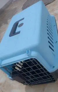 باکس سگ و گربه