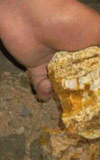 تست و استخراج  طلا