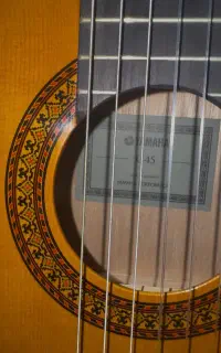 گیتار کلاسیک Yamaha C45