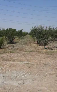 ۲۳۰۰۰ متر زمین خط گاز /بهترین لوکیشن /سند دار