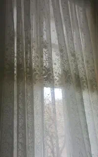 فروش پرده گیپور